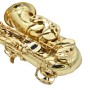 Sax alto ripamonti, 5030 laccato con astuccio-paradisesound.it