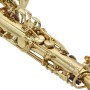 Sax alto ripamonti, 5030 laccato con astuccio-paradisesound.it