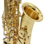 Sax alto ripamonti, 5030 laccato con astuccio-paradisesound.it