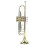 Bach Tromba in Sib TR501 paradisesound strumenti musicali on line