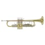 Bach Tromba in Sib TR501