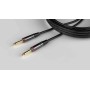 Cavo Per Strumento Cableworks Gcwh-ins-10 3 Metri-paradisesound.it
