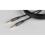 Cavo Per Strumento Cableworks Gcwh-ins-20ra 6 Metri-paradisesound.it