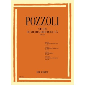 Pozzoli Studi di Media Difficoltà per Arpa-paradisesound.it