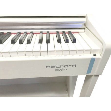 Pianoforte digitale echord dpx-100 white-paradisesound.it
