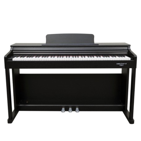 Pianoforte digitale echord dpx-100 b-paradisesound.it