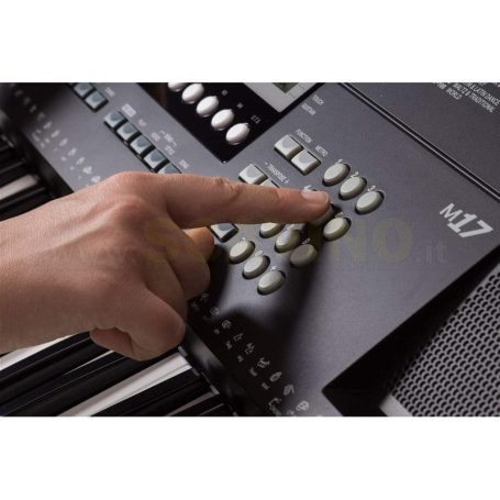 Tastiera Arranger Portatile 61 Tasti Medeli M17-paradisesound.it