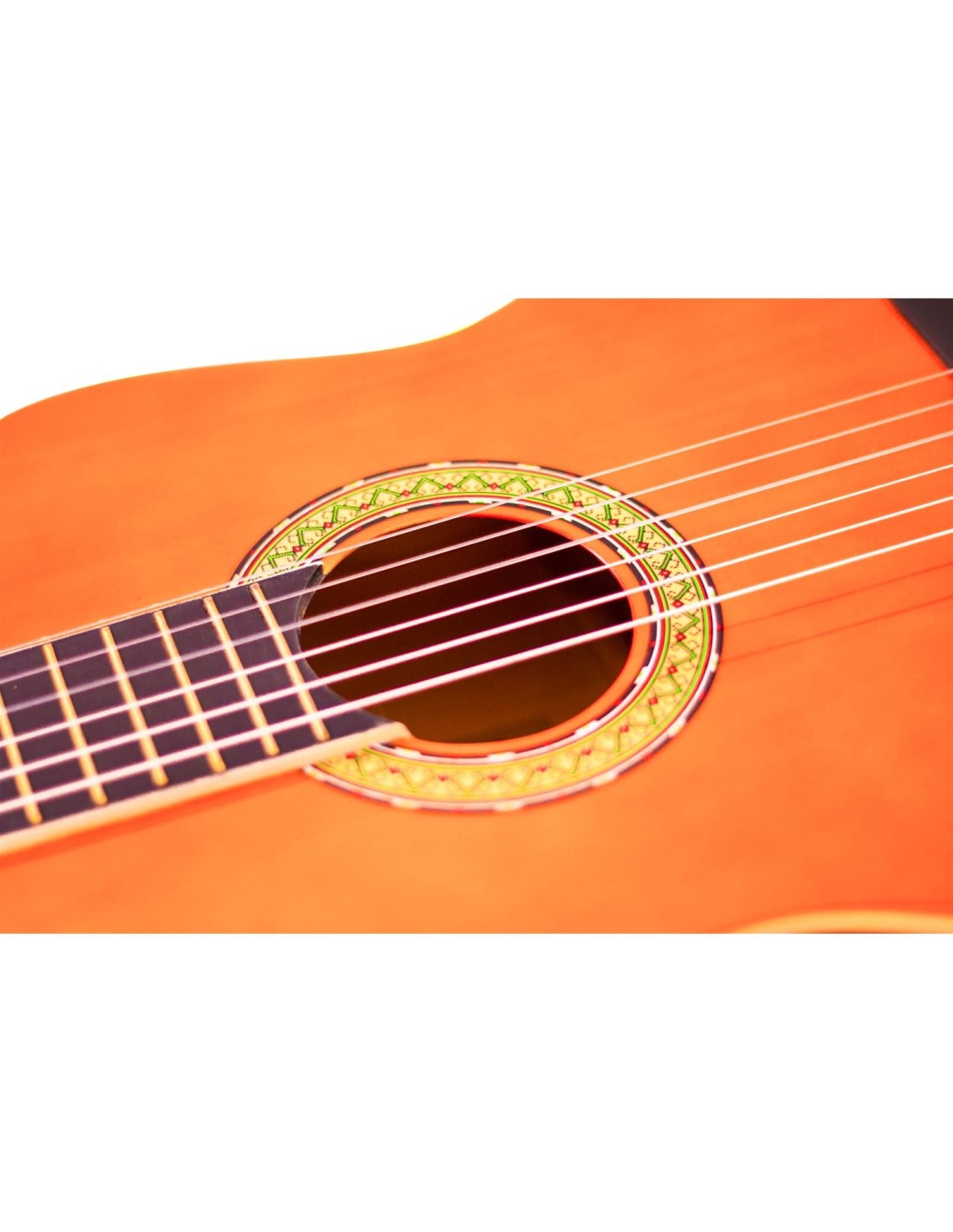 Chitarra Classica 4/4 – ffalstaff C441 da Studio con Binding Avorio-paradisesound.it