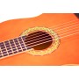 Chitarra Classica C441 ffalstaff, borsa, poggiapiede, leggio-paradisesound.it