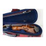 Violino 2/4 Stentor Student 2 con custodia ed arco-paradisesound.it