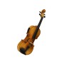 Violino Elettrico Stagg con accessori-paradisesound.it