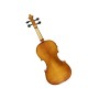 Violino Elettrico Stagg con accessori-paradisesound.it