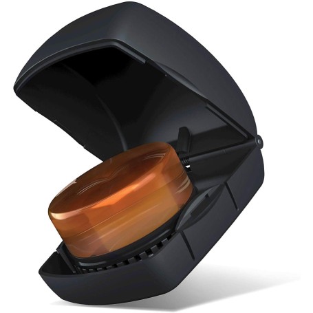 Colofonia chiara d'addario kaplan paradisesound strumenti musicali on line