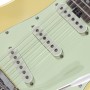 Chitarra Elettrica Williams R66 Horizon Saint Louis – Strato Style-paradisesound.it