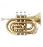 TROMBA SOUNDSATION STPGD-10P POCKET GOLD (SC) paradisesound strumenti musicali on line