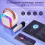 Karaoke Mini con 2 Microfoni - Usb - Sd - Bluetooth-paradisesound.it