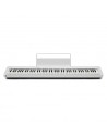 Pianoforte Digitale Casio Px-s1100 white-paradisesound.it