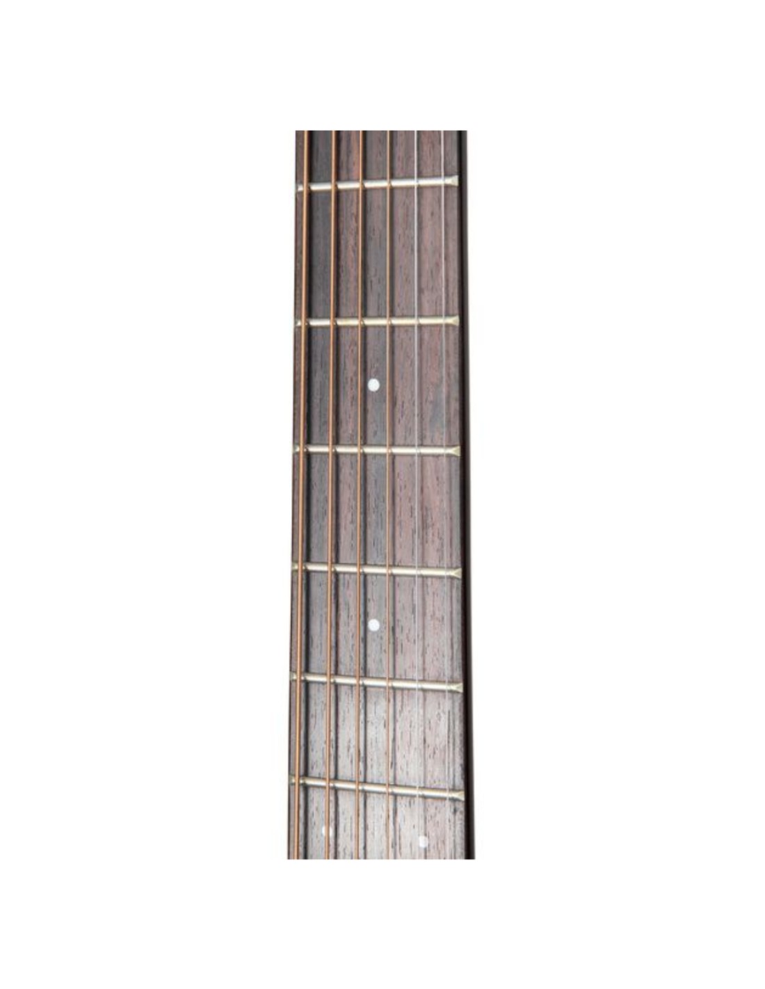 Chitarra Acustica Takamine GY21E-SM Elettrificata-paradisesound.it
