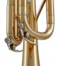 Tromba in sib yamaha 2330-paradisesound.it
