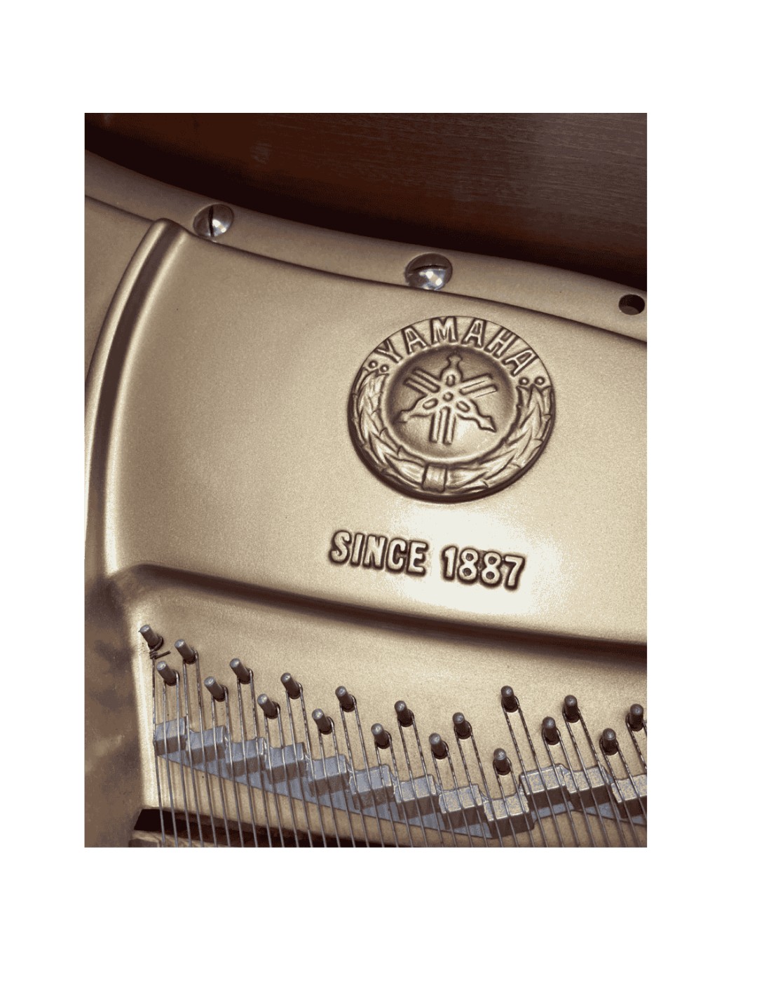 Pianoforte a Coda Yamaha C3 Rigenerato-paradisesound.it