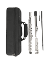 Flauto Traverso Soundsation SFL-10 – Silver Plated con Mi Snodato-paradisesound.it