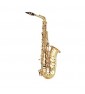 SAX CONTRALTO paradisesound strumenti musicali on line