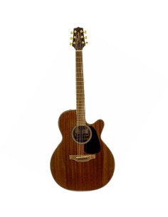 Chitarra Acustica Elettrificata Takamine GSN11MCE-NG-paradisesound.it
