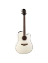 Chitarra Acustica Takamine GD37CEPW Serie ProPearl White-paradisesound.it