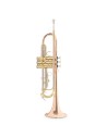Tromba in Sib Roy Benson TR‑202G – Bore ML, Campana in Ottone-paradisesound.it