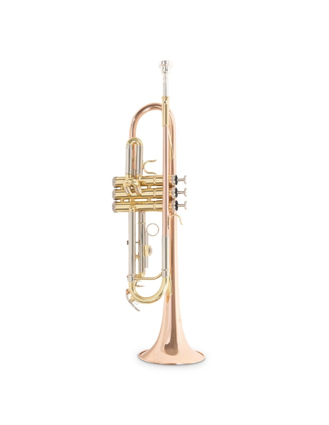 Tromba in Sib Roy Benson TR‑202G – Bore ML, Campana in Ottone-paradisesound.it