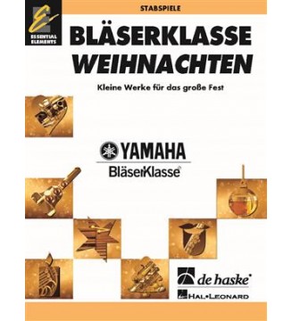 Bläserklasse live - Flöte paradisesound strumenti musicali on line