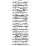 Piano Sonatas - Volume 2 paradisesound strumenti musicali on line