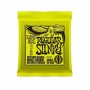 Ernie Ball 2221 Regular Slinky 10/46-paradisesound.it