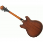 Chitarra Semi-Acustica Ibanez AS53-TF Tobacco Flat-paradisesound.it