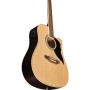 Chitarra Acustica Eko Ranger Cw Eq Natural paradisesound strumenti musicali on line