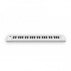 Pianoforte Pieghevole 49 Tasti Carry On Piano 49-paradisesound.it