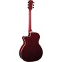 Chitarra Acustica Eko NXT A100CE See Through Red – Cutaway-paradisesound.it
