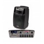 Diffusore a batteria 10" ad alta potenza - 2 microfoni wireless - Pot. Max. 300 W paradisesound strumenti musicali on line