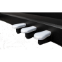 Pianoforte Digitale DPX100 Echord paradisesound strumenti musicali on line