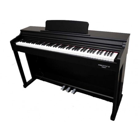Pianoforte digitale echord dpx-100 b-paradisesound.it