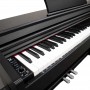 PIANOFORTE DIGITALE ECHORD DPX-100 B paradisesound strumenti musicali on line
