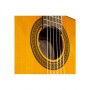 Chitarra Classica Takamine Cutaway Elet G Selected Series paradisesound strumenti musicali on line