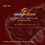 Set corde per chitarra acustica soundsation saw431-paradisesound.it