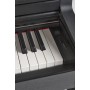 PIANOFORTE DIGITALE GEWA UP 365 paradisesound strumenti musicali on line