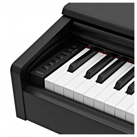 Pianoforte digitale Yamaha Ydp145b-paradisesound.it