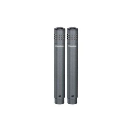Kit 2 Microfoni a Condensatore per Strumenti e Cori Audio Design Pa Mcd-Set-paradisesound.it