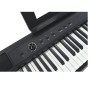 ECHORD DP-1 PIANOFORTE DIGITALE 88 TASTI PESATI paradisesound strumenti musicali on line