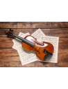 Viola